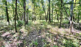Flint Rd. E 0, Attica, IN 47918