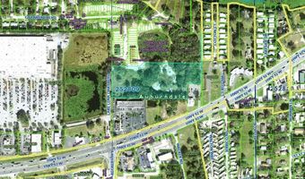 ABUNDANT LIFE DRIVE, Auburndale, FL 33823