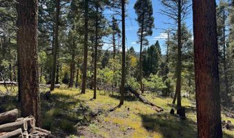 Calle de los Indios lot 101, Angel Fire, NM 87710