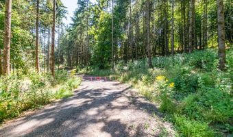 Scravel Hill RD, Albany, OR 97322