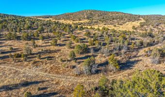 38 Copper Ridge Rd Lot 38, Alto, NM 88312