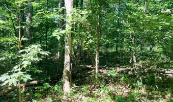 Setty Rd, Albany, OH 45710