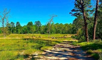 868 County Road 2920, Alba, TX 75410