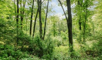 2895 Terra Nova Dr SE, Ada, MI 49301