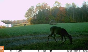 Martha Stockton Road, Albany, KY 42602