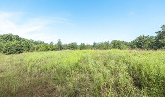 470 County Road 118, Annapolis, MO 63670