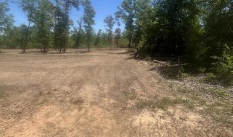 Empire Avenue, Alford, FL 32420