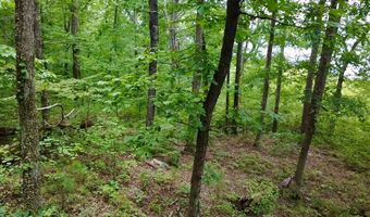 Paradise Lane, Bee Branch, AR 72013