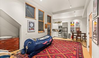 308 Park Ave, Aspen, CO 81611