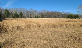 143 New Hope Rd, Big Sandy, TN 38221