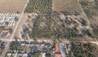LEWIS GRIFFIN Road, Babson Park, FL 33827