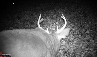 590 County Road 247, Bruce, MS 38915
