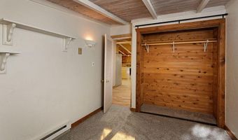 311 Midland Ave, Aspen, CO 81611