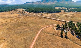 The Ranch at Alpine lot 35, Alpine, AZ 85920