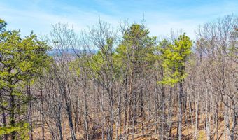 Larkin Mountain, Amherst, VA 24521
