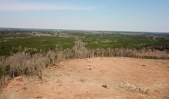 28 14 Chalk Level Rd Lot 1, Alberta, VA 23821