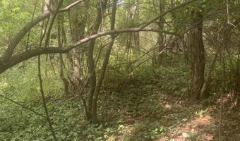 V/L Springhill Drive, Allegan, MI 49010