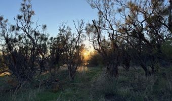 54740 Cave Rock Rd, Anza, CA 92539