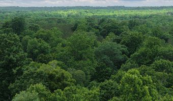 000 Fowler Rd, Beech Bluff, TN 38313