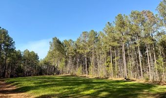 Highway 28, Abbeville, SC 29620