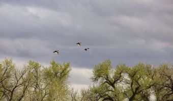 38250 COUNTY RD 170, Agate, CO 80101