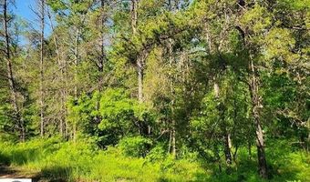 Quigley Road 40 Acres Quigley Road, Alger, MI 48610
