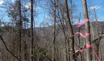 Gentry Farm Road, Aurora, NC 28743