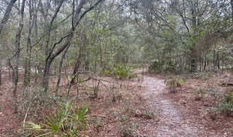NW 11th Ave, Bell, FL 32619