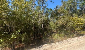 Lot 10 16th Ave, Bell, FL 32619