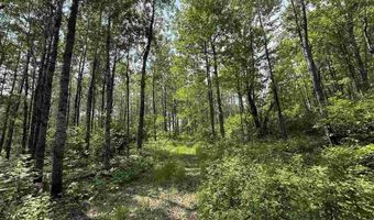 TBD Samuelson Road - Sec 15, Angora, MN 55703