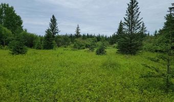 Xxx Heino Road, Angora, MN 55703