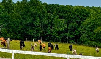2224 Gap Rd, Altamont, TN 37301