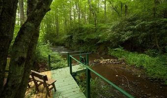 60 Bartram Trl, Scaly Mountain, NC 28775