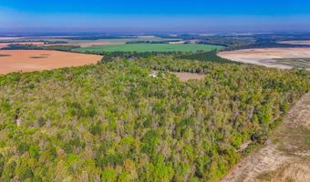 2970 Cooktown Rd, Bainbridge, GA 39817