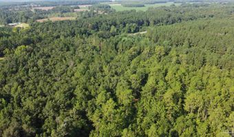 0 Lowery Rd Lot #10, Atmore, AL 36502