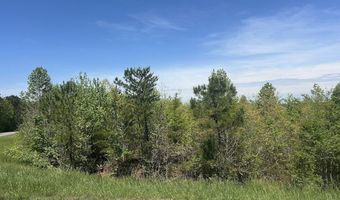 2633 Georgia Hwy 120 485.53 Acres, Tallapoosa, GA 30176
