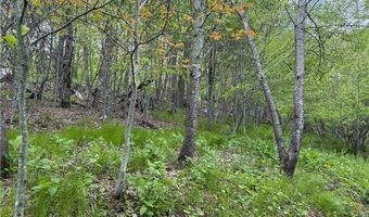 4 Fox Pointe Dr, Banner Elk, NC 28604