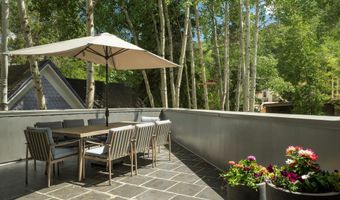 506 W Hallam St, Aspen, CO 81611