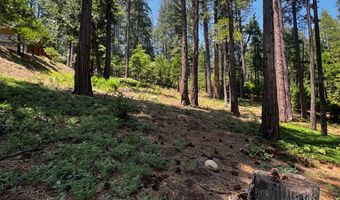 2904 Venado Dr, Arnold, CA 95223