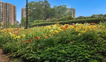5904 MOUNT EAGLE Dr 718, Alexandria, VA 22303