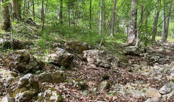 County Road 544, Bakersfield, MO 65609