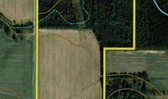 0002 CR-290, Asbury, MO 64832