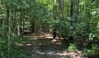Lot 6 RICHMOND RD, Amelia Court House, VA 23002