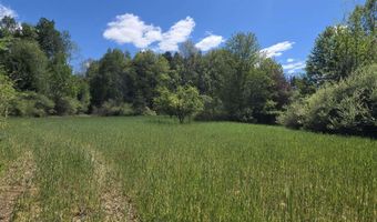 15252 27 Mile Rd, Albion, MI 49224