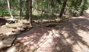 38 CR 2266, Alpine, AZ 85920