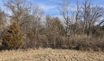 9 A59 Ash Ct, Apple River, IL 61001