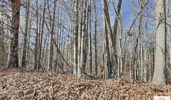 0 Reed Creek Dr, Bassett, VA 24055