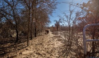 6199 County Road 335, Anson, TX 79501