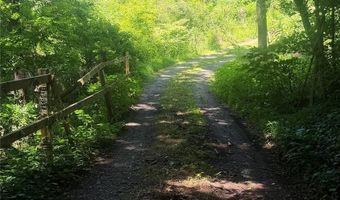 20 Utopia Rd, Asheville, NC 28805