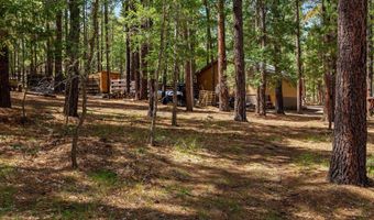 2 County Road 2081, Alpine, AZ 85920